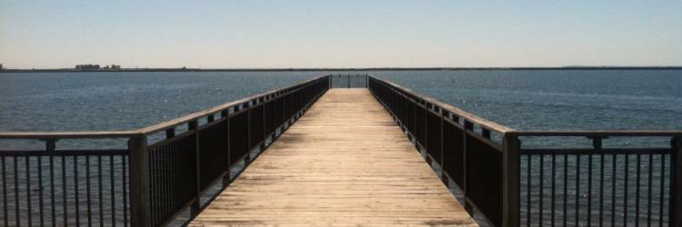 Buffalo Outer Harbor banner