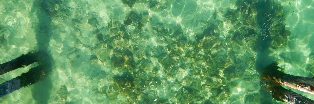 hazeelnuut's profile banner image