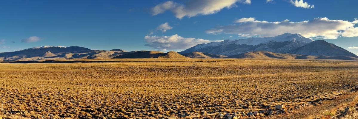 PirloFernando's profile banner image