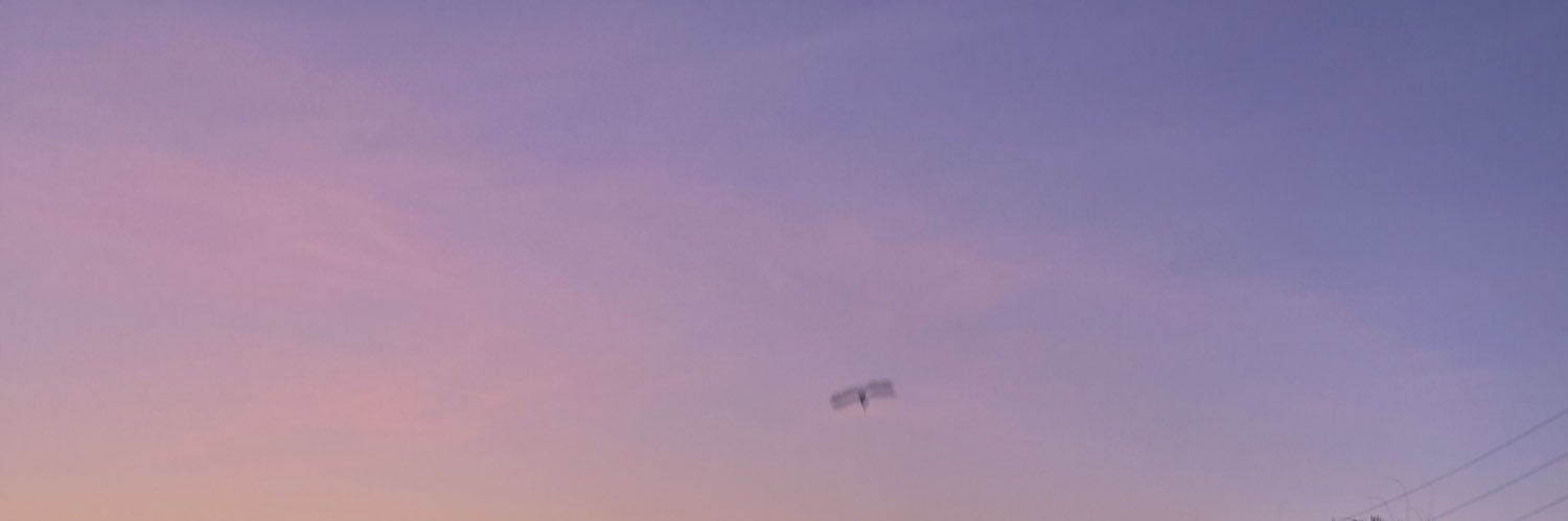 bakedsalmoon's profile banner image