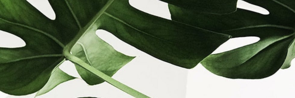 clidatelier's profile banner image