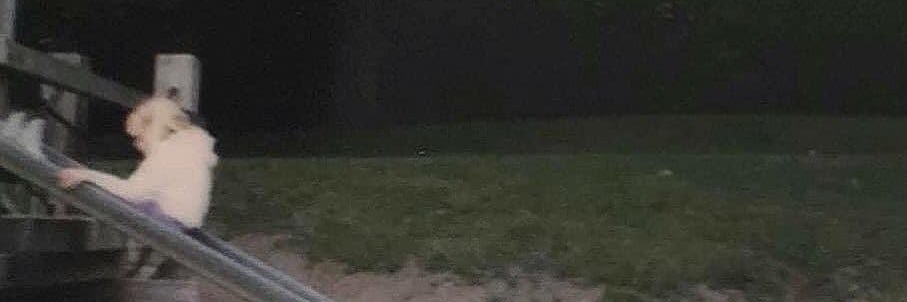 Julie Germany banner