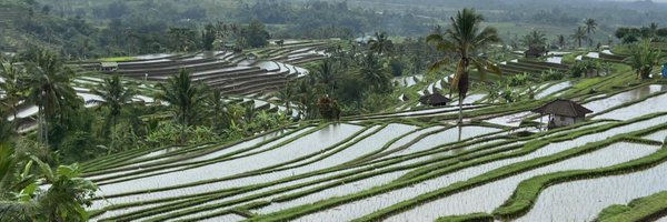 MTLLluva Profile Banner