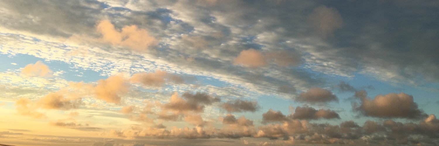 Subarusupika's profile banner image
