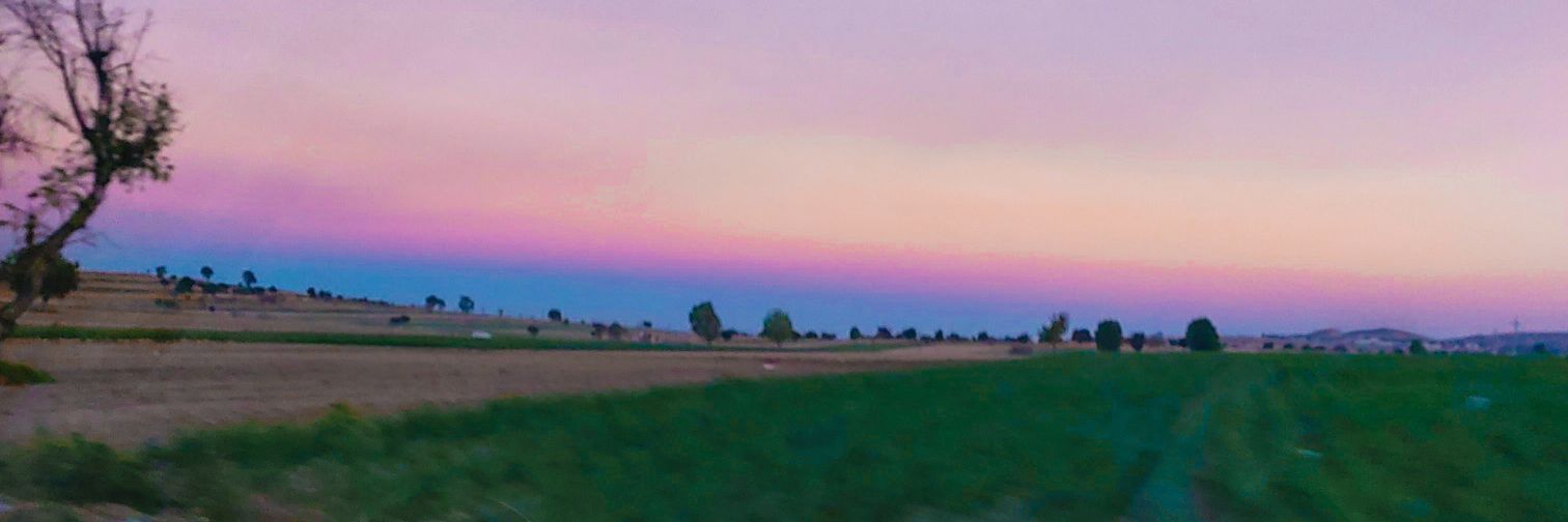 angelevskaa's profile banner image