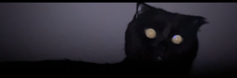 cccbrkccc's profile banner image