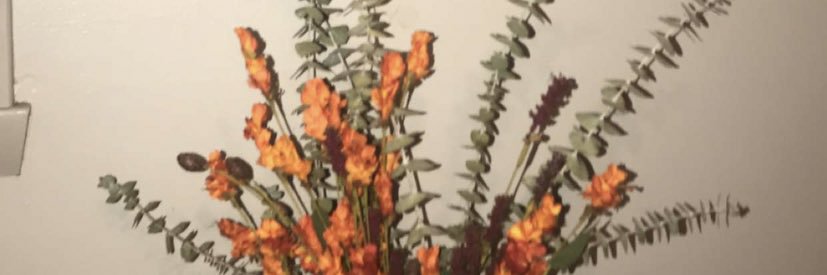 _samhowe's profile banner image