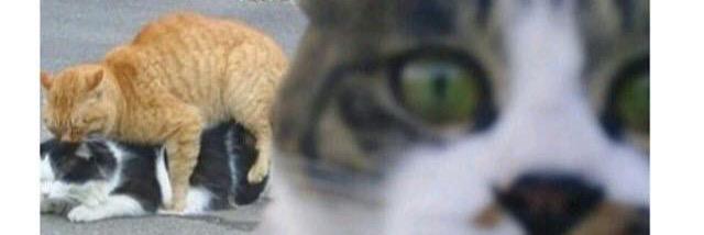 everydayfucksme's profile banner image