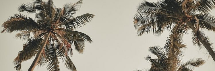 danarhadikh's profile banner image