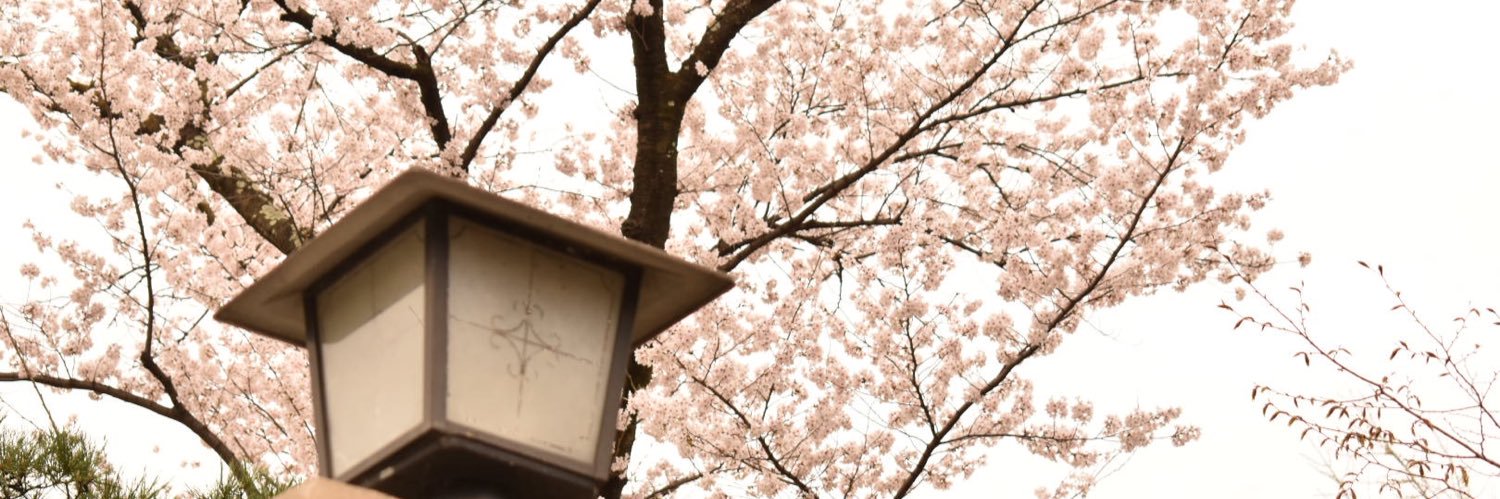 wakamine1131's profile banner image