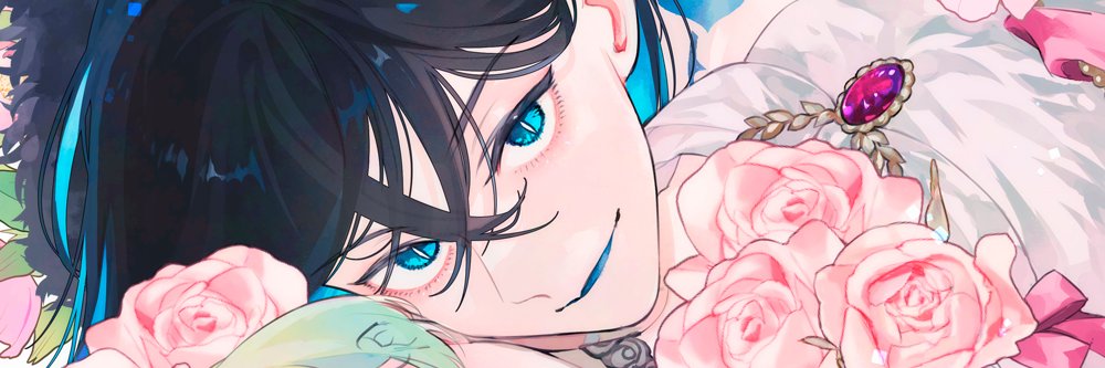 ZIRMELI's profile banner image