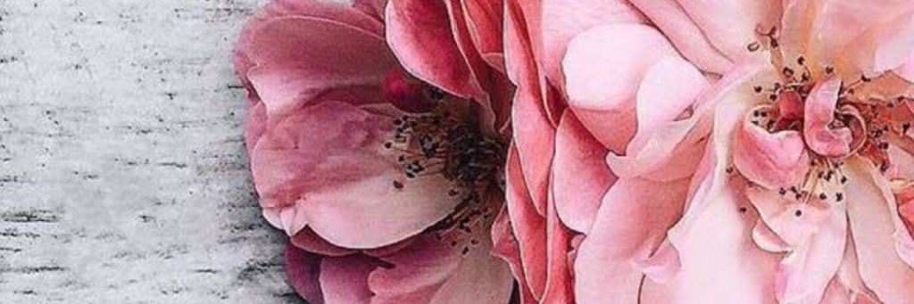 Quotes___Quips's profile banner image