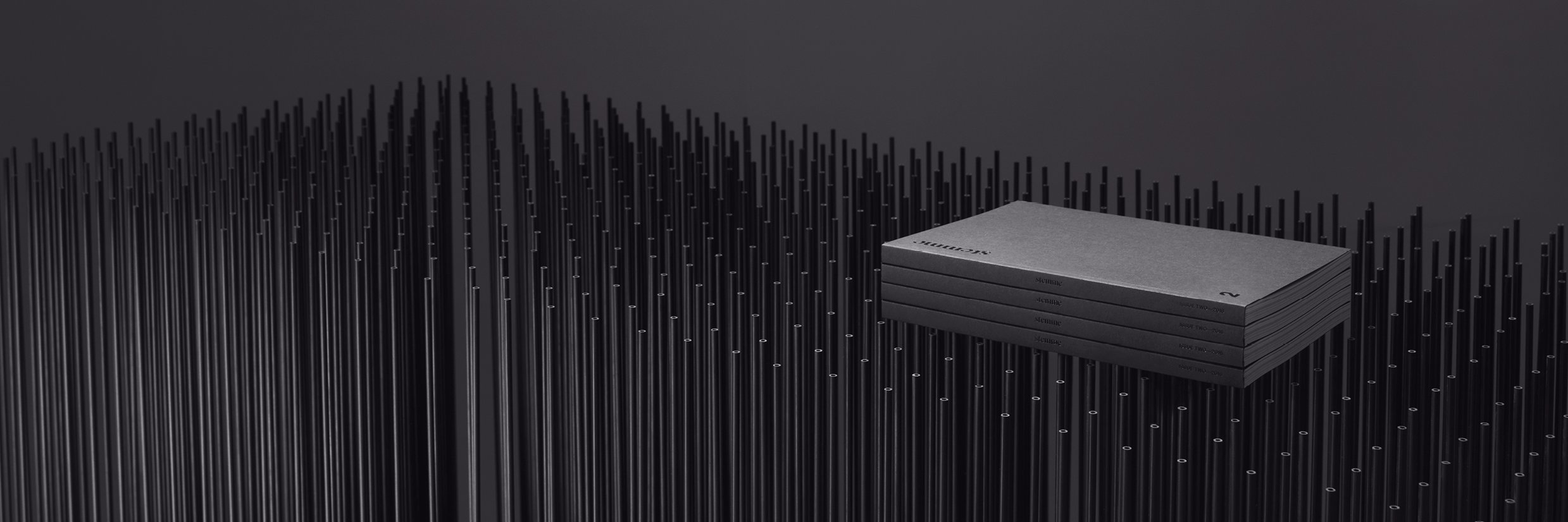 stemme_nz's profile banner image
