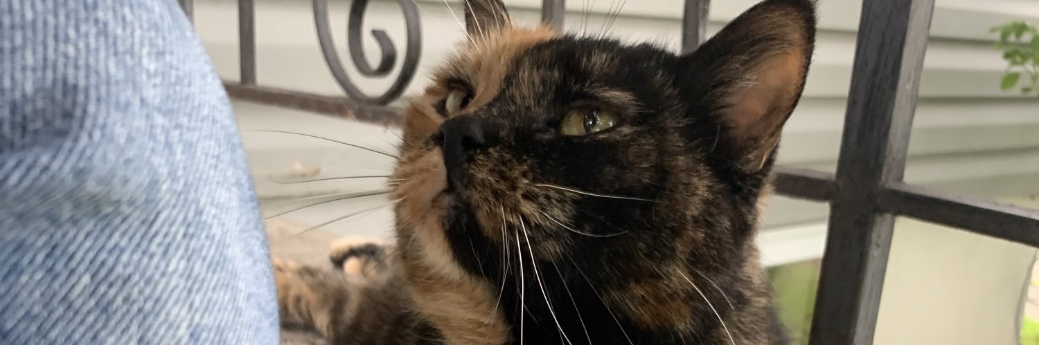 aleishea_'s profile banner image