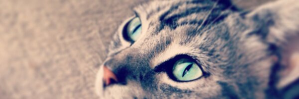 agraph Profile Banner