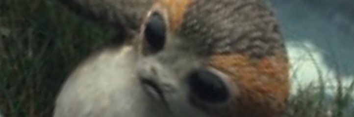 tMATSUNE's profile banner image