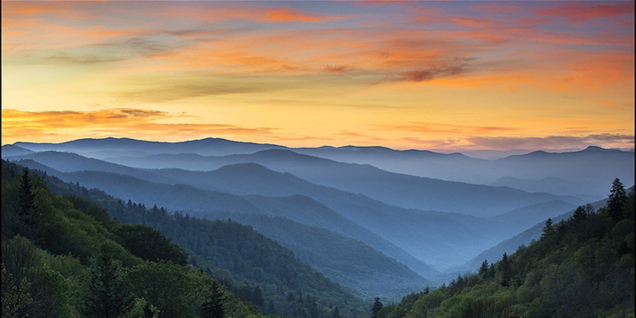 scottharness's profile banner image
