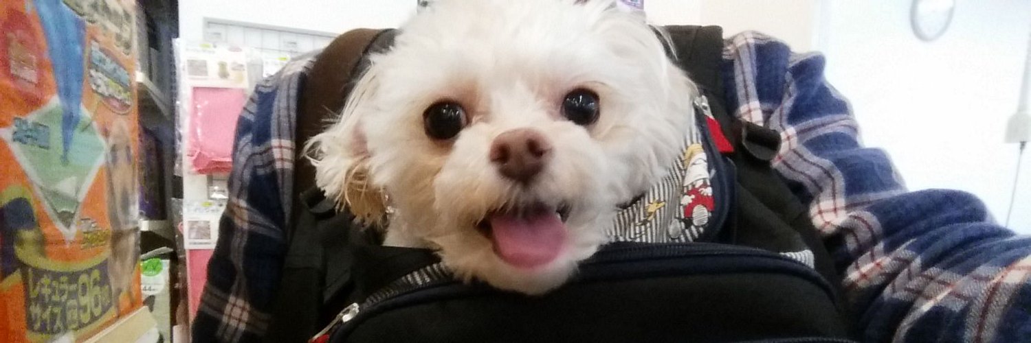 21Sallychan's profile banner image