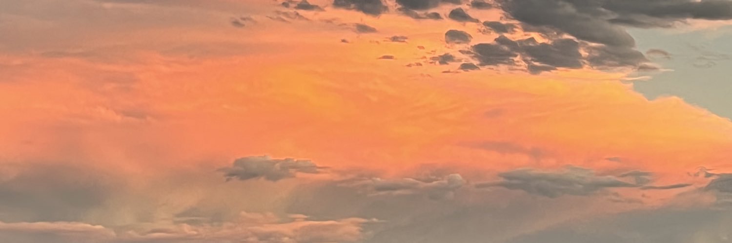 SinginEmm's profile banner image