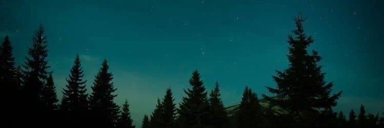 neobshchitel's profile banner image