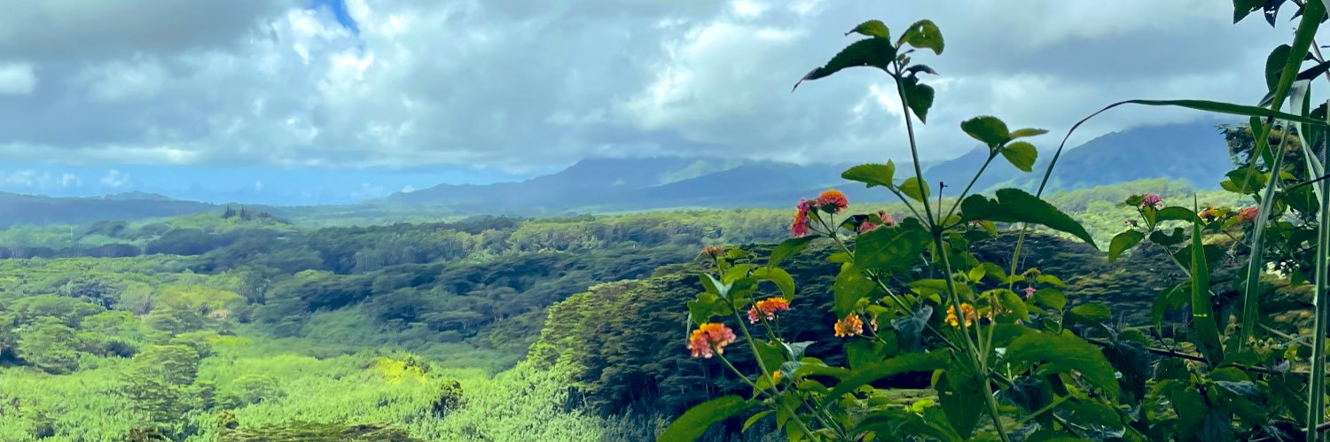 Jess DeBolt Berman banner