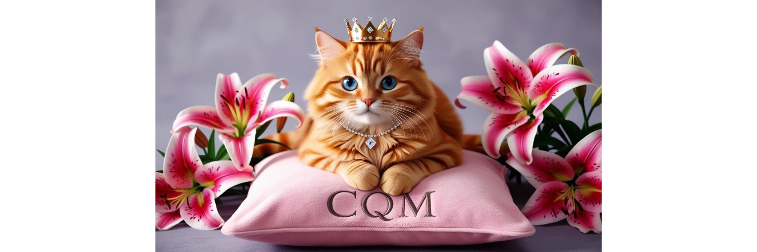 Cat Queen Meow banner