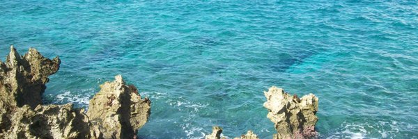 andreshrossi Profile Banner