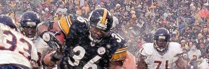 dscbear461's profile banner image