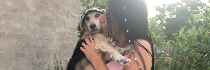 RfRoofarias's profile banner image