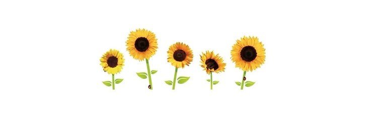 gmailaaz's profile banner image