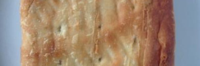 TheDot_Matrix's profile banner image