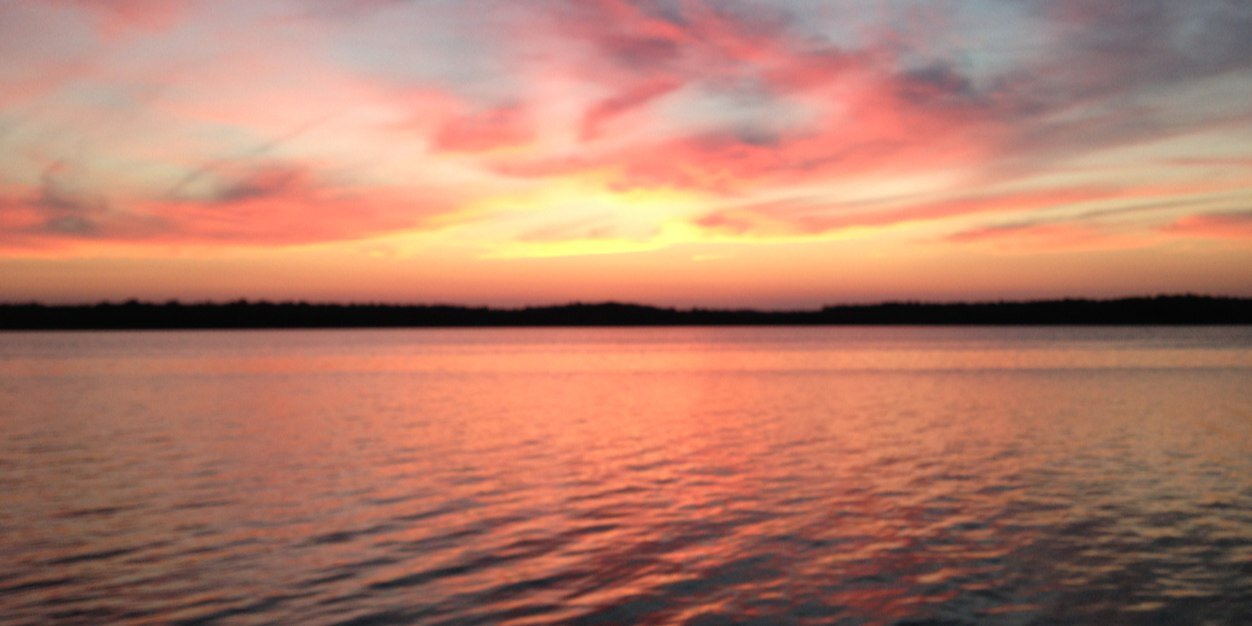 U00LDA1's profile banner image