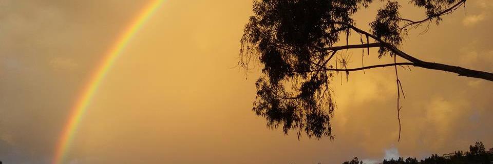 fernandocrioll1's profile banner image