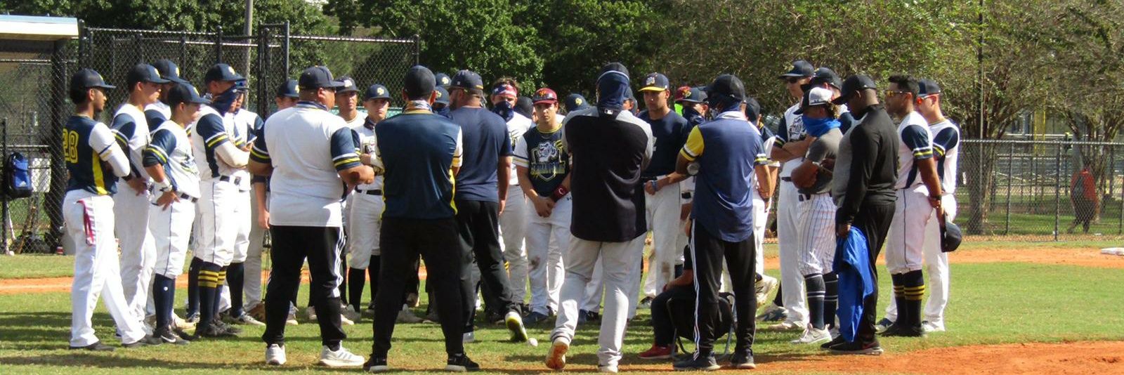 Finfan_79🐬⬆️⚾️ banner