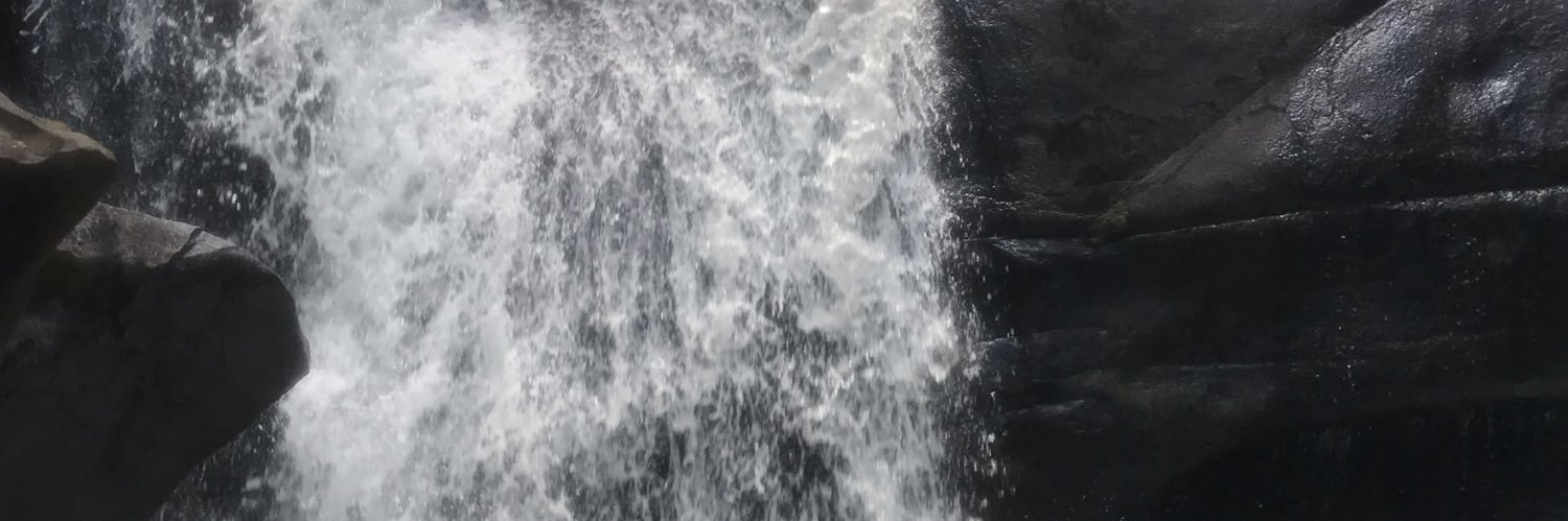 Ty_toong's profile banner image