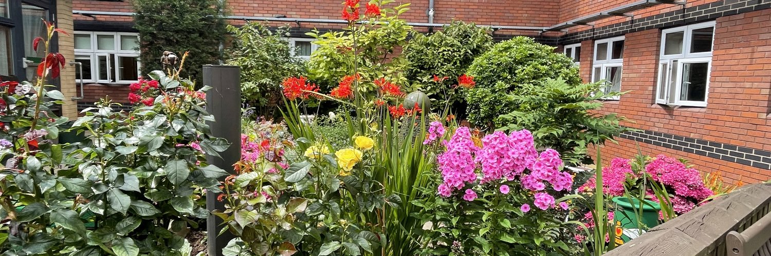 Becs_Collins's profile banner image