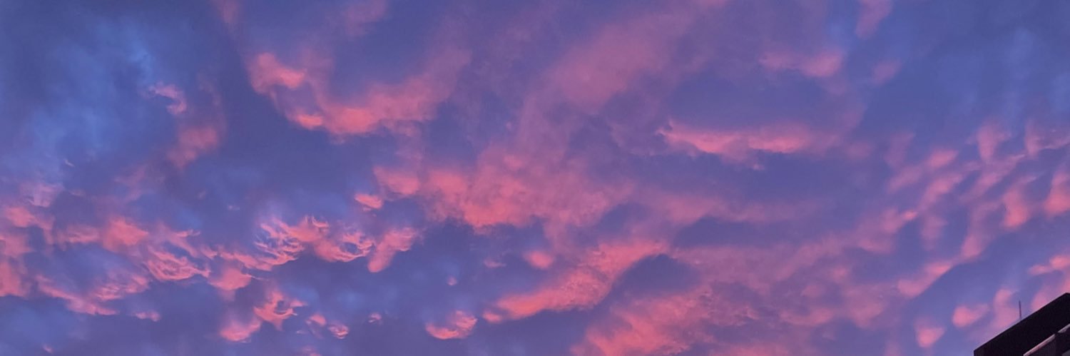 ev_alt's profile banner image
