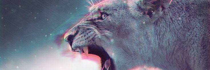 molina_an's profile banner image