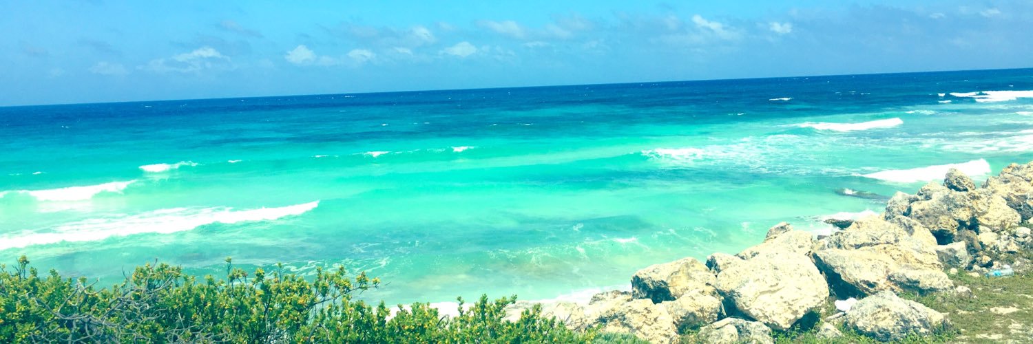 a s h l e y banner