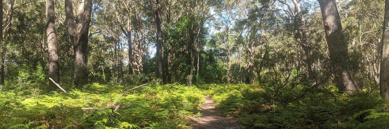 ░▒▓▒░▒▓▒░▒▓▒░ banner