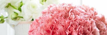 MelissaViRoMa's profile banner image