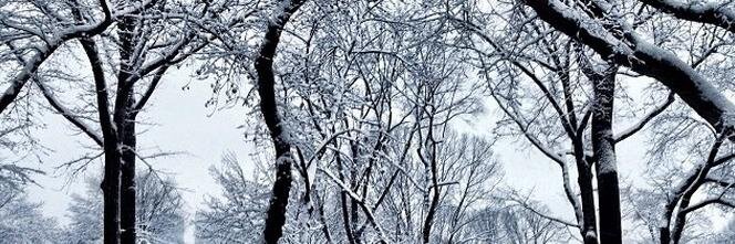 auroradeaurora's profile banner image