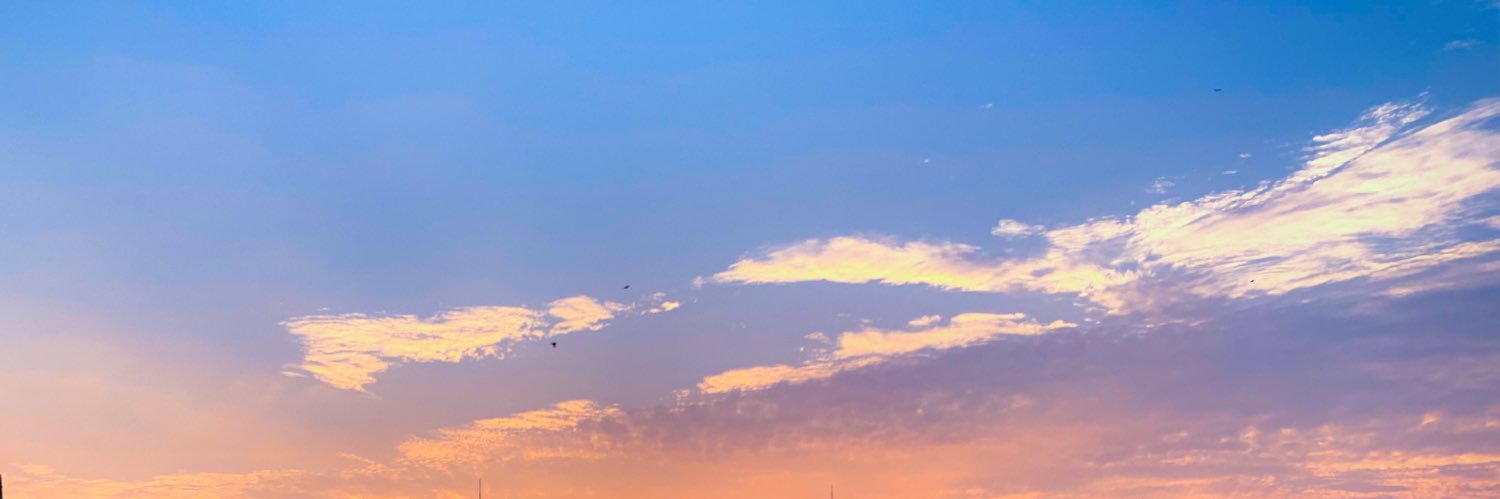 ___vksy's profile banner image
