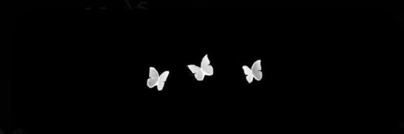 finelineirwin's profile banner image