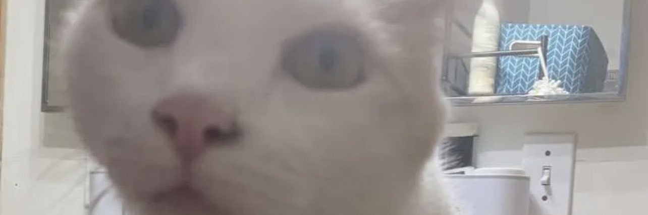 LadyDunDobrik's profile banner image