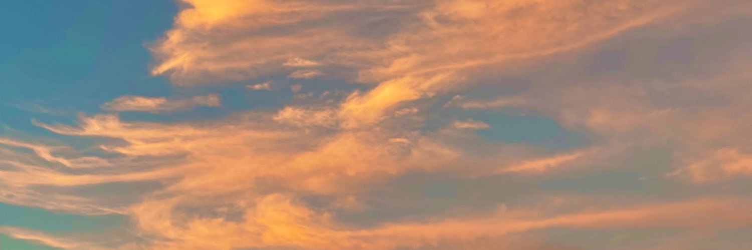 laceymartinez's profile banner image