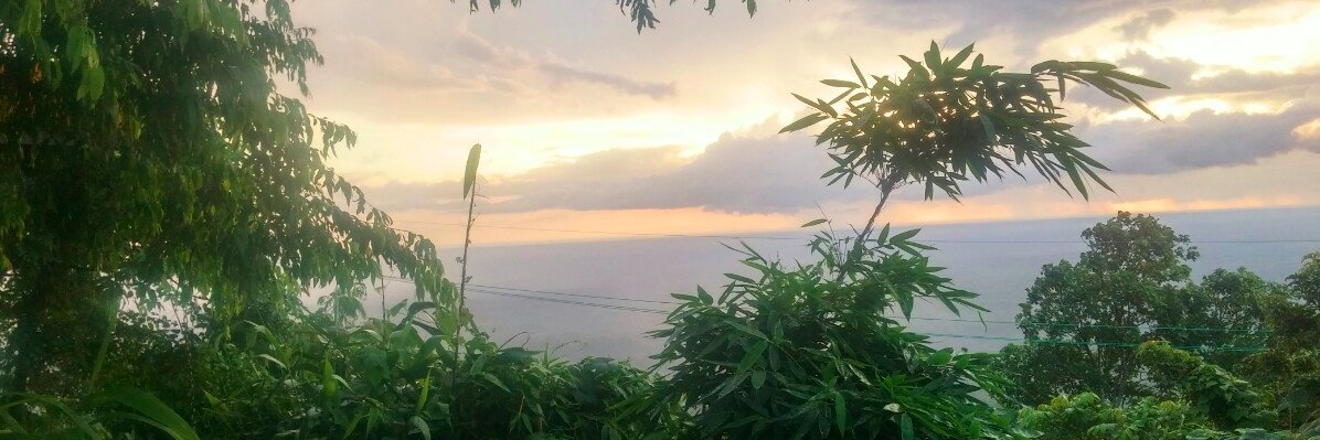 jatishshar's profile banner image