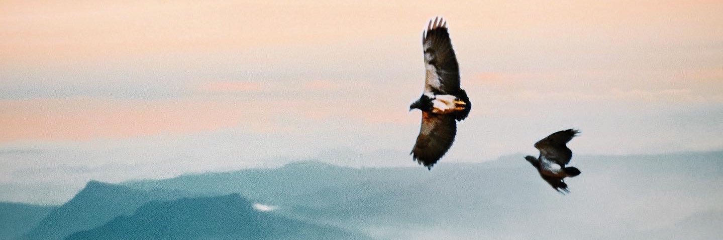ivanduartez's profile banner image