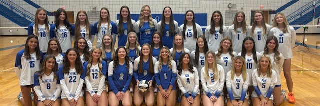 Anthony Wayne Volleyball's banner