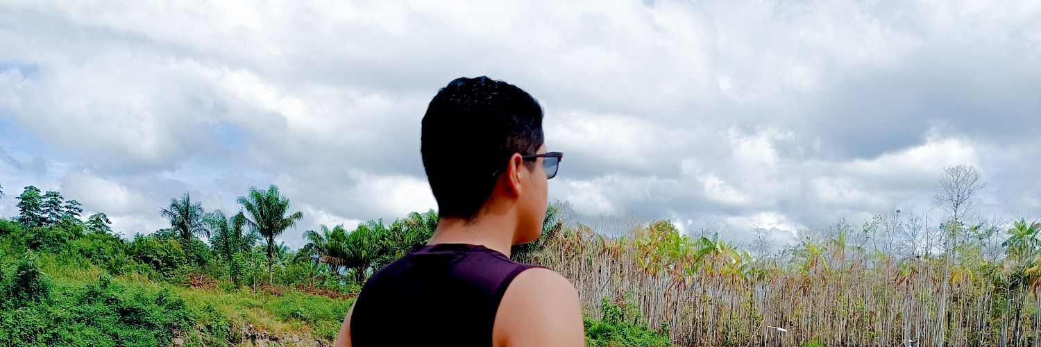 t_pingarilho's profile banner image